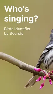 Bird Call Identifier Sounds ID screenshot 0