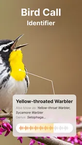 Bird Call Identifier Sounds ID screenshot 1