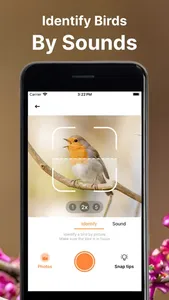 Bird Call Identifier Sounds ID screenshot 2