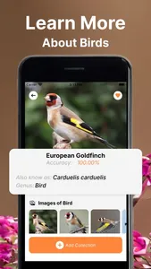 Bird Call Identifier Sounds ID screenshot 3