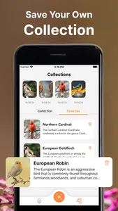 Bird Call Identifier Sounds ID screenshot 4