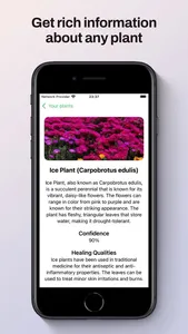 Plant Identifier ° screenshot 0