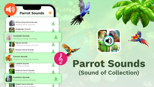 Parrot Sounds & 4K Wallpapers screenshot 1