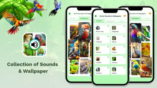 Parrot Sounds & 4K Wallpapers screenshot 3