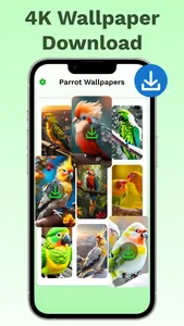 Parrot Sounds & 4K Wallpapers screenshot 4