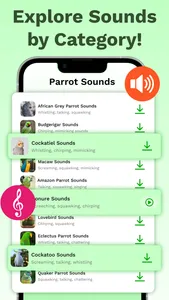 Parrot Sounds & 4K Wallpapers screenshot 6