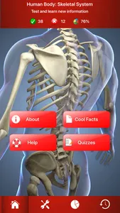 Human Skeletal System Trivia screenshot 0