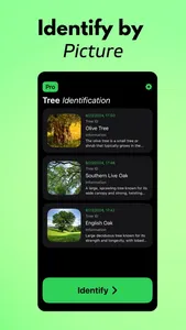 Tree Identifier AI: TreeIQ screenshot 2