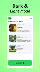 Tree Identifier AI: TreeIQ screenshot 6