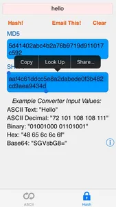 HEX ASCII BASE64 MD5 SHA conv. screenshot 1