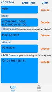 HEX ASCII BASE64 MD5 SHA conv. screenshot 3