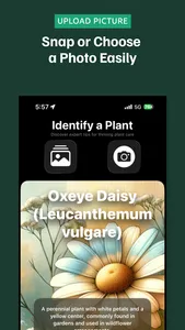 Plantier: Plant Identification screenshot 1