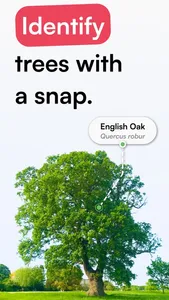 TreeID - Tree Identifier screenshot 0