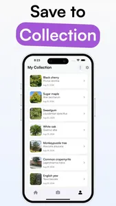 TreeID - Tree Identifier screenshot 3