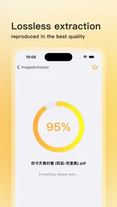 ImagesExtractor screenshot 2