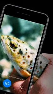 Fish ID - Identify & Info screenshot 1