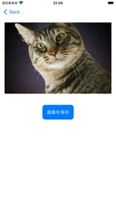 宇宙猫コラ画像ジェネレーター screenshot 3