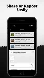 BlackSave Video Spliter screenshot 1