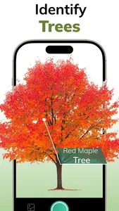 Tree Identifier AI: ID Trees screenshot 0