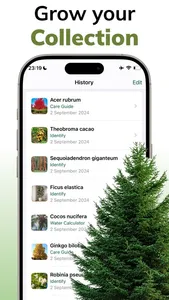 Tree Identifier AI: ID Trees screenshot 4