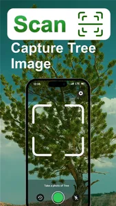 Tree Identifier: Tree id screenshot 1