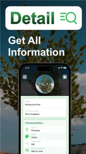 Tree Identifier: Tree id screenshot 2