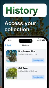 Tree Identifier: Tree id screenshot 3