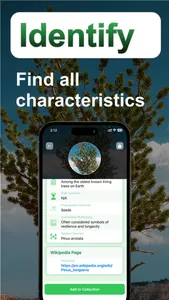 Tree Identifier: Tree id screenshot 4