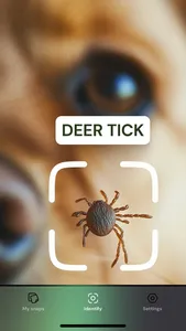 AI Insect Identifier, Bug App screenshot 1
