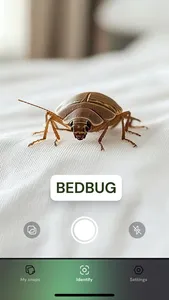 AI Insect Identifier, Bug App screenshot 2