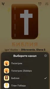 Интернет Радио Пилигрим screenshot 2