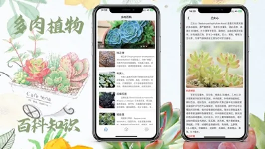 多肉百科-肉肉爱好者的必备工具之多肉百科知识大全 screenshot 0