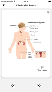 IB SEHS screenshot 6