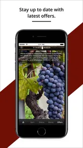 Vino Volo screenshot 3