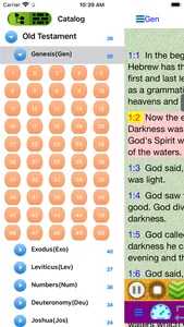 World English Bible Audio Book screenshot 1