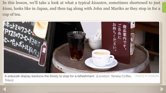 Human Japanese Intermediate screenshot 3