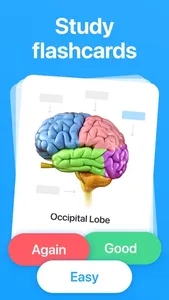 Cogni: Flashcards Learning screenshot 0