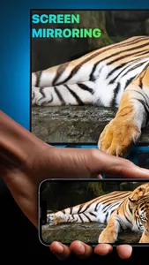 Screen Mirroring Remote TV screenshot 0