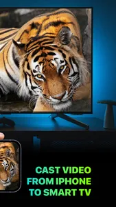 Screen Mirroring Remote TV screenshot 1