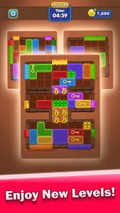 Block Master: Match Puzzle screenshot 4