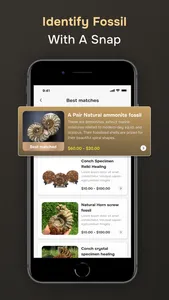 Fossil Identifier screenshot 1