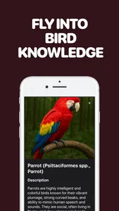Identify Birds with AI screenshot 1