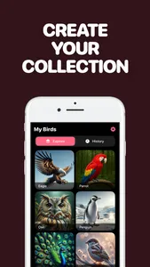 Identify Birds with AI screenshot 2
