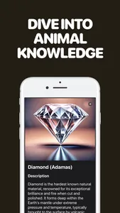 Identify Stones with AI screenshot 1