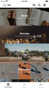 Save St. Louis screenshot 0