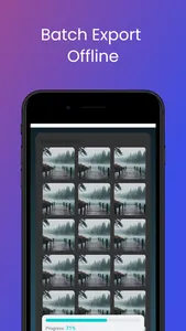 Vid2Pix Bulk - Video to Photo screenshot 2