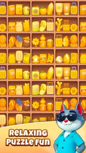 Travel Sort: Match Puzzle screenshot 4