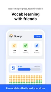 Voeing SAT screenshot 6