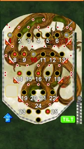 Bingo Pinball Dragon screenshot 0