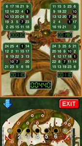 Bingo Pinball Dragon screenshot 1